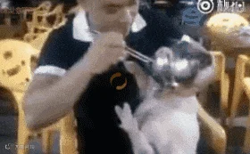 23.gif