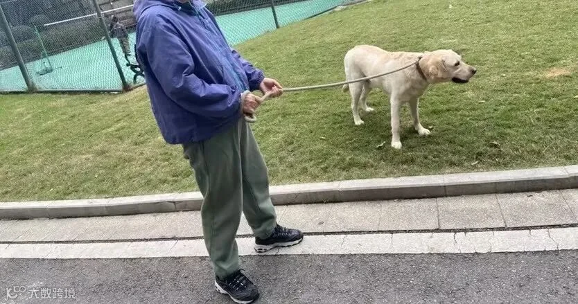 服务中2.jpg