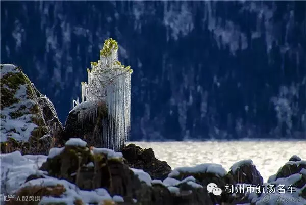 美哭了,这TM才叫冰雪奇缘!