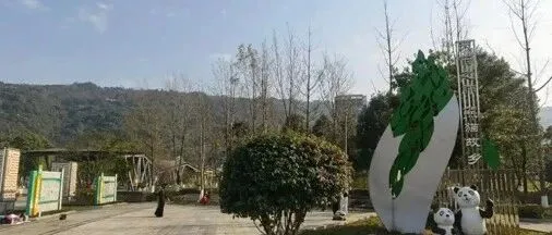 太现实！雅安熊猫绿岛公园的相亲角，那里的门槛写得清清楚楚，外地人看后都说太难。