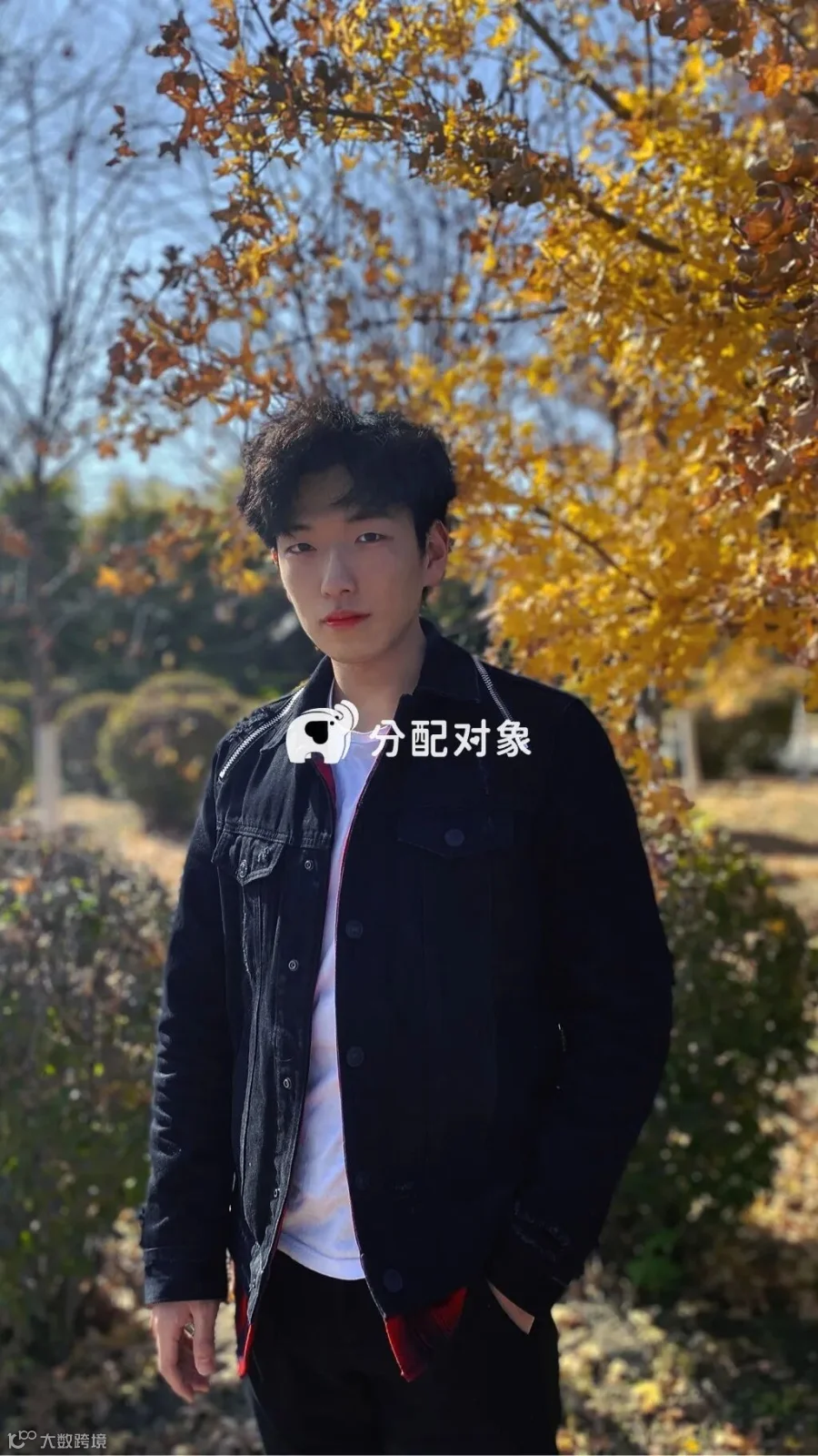 显示失败不影响粘贴至微信