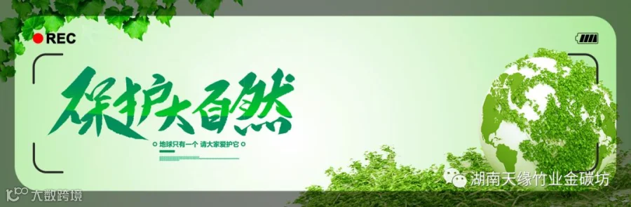 1581072408137185.png