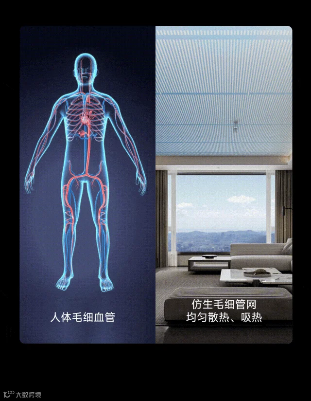 仿生毛细管网恒温-2.gif