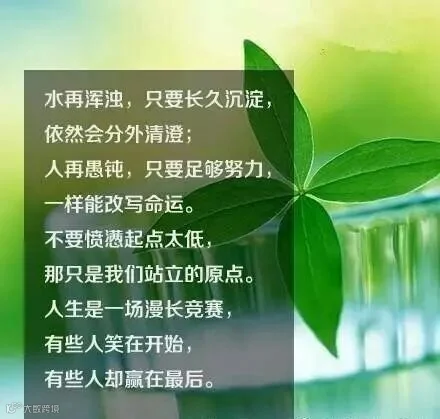 1708291241.jpg