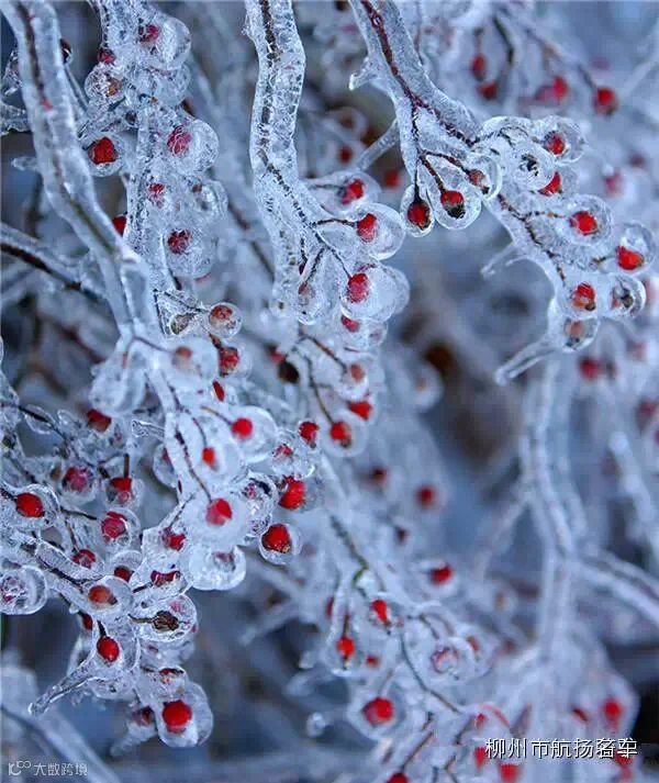美哭了,这TM才叫冰雪奇缘!
