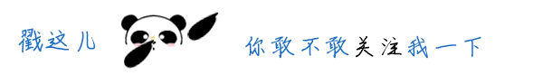 大熊猫引导关注