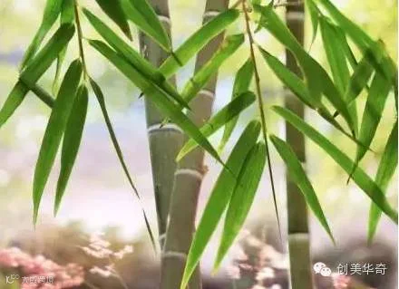 1442655948410092.png
