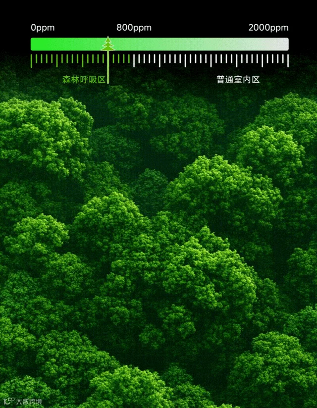 森林呼吸标尺-2.gif