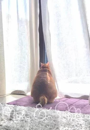 MOK4.png