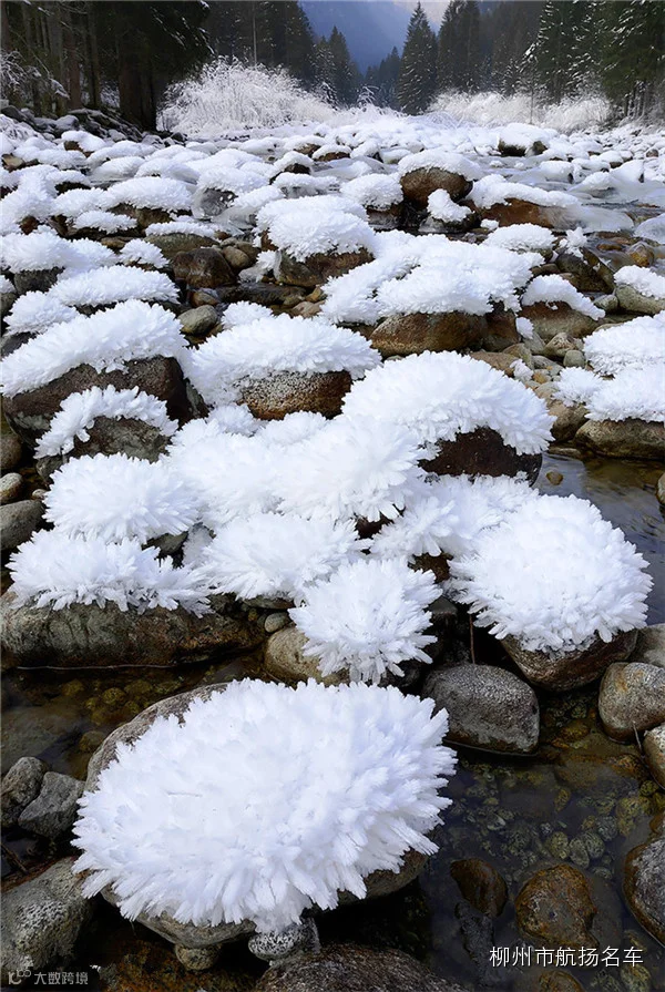 美哭了,这TM才叫冰雪奇缘!