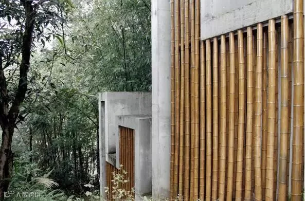 42.jpg
