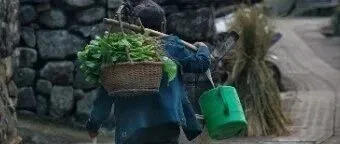 家产不争了，爹娘谁养倒成了难题——湖南农村养老新困局