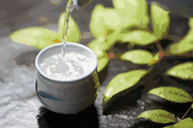 VCG4196588317.gif