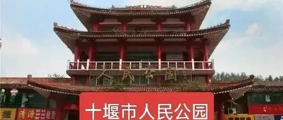 太无奈！十堰人民公园的相亲角，那里的标准写得太直白，外地人看完都心头一沉。