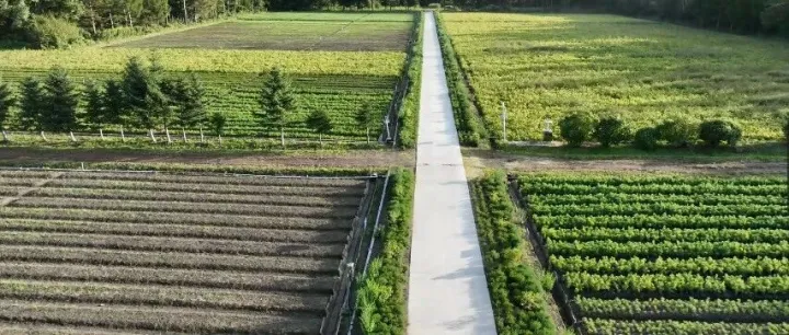 【产业富企】<em>双鸭山</em>：依托生态资源禀赋  构筑多元产业矩阵