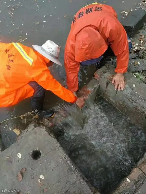 点击查看原图