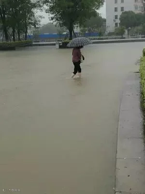 登录/注册后可看大图