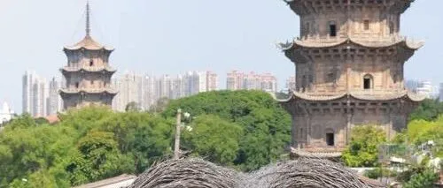 在泉州戴上簪花围当一日渔家女，漫步西街寻找宋元中国的海丝印记