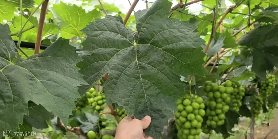 7月9日.jpg