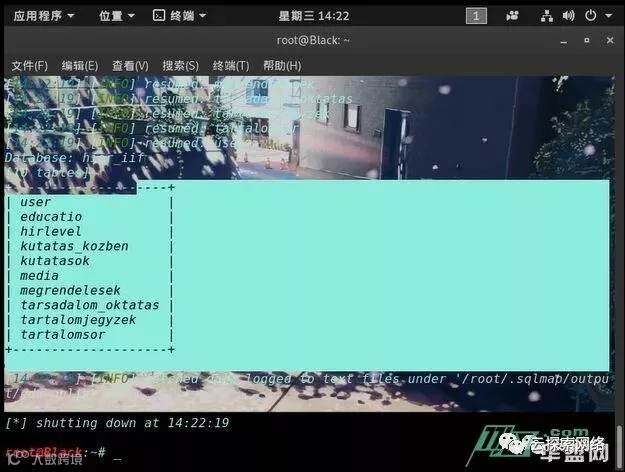 KaLi sqlmap 简单入侵