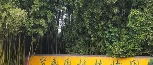 宝鸡周末必冲！爆火公园被誉为小太白山，野餐遛娃超治愈