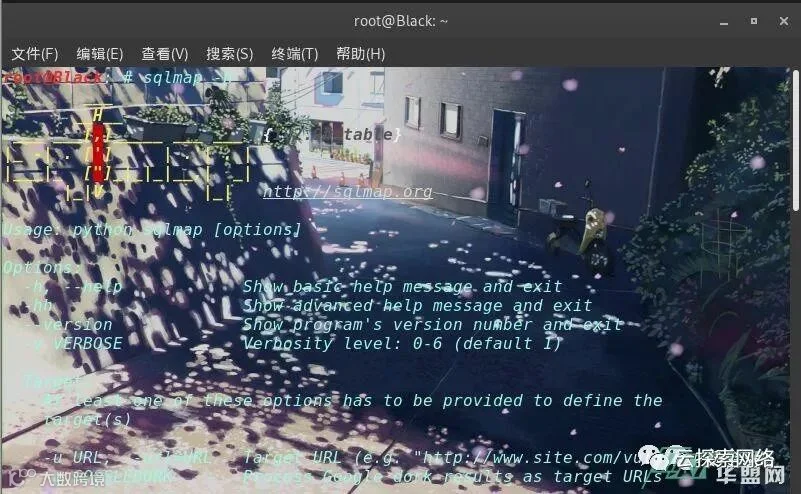 KaLi sqlmap 简单入侵