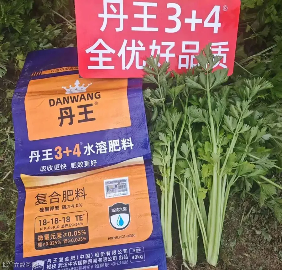 cce15b0f9477eae1bf63bdc7790d2243.jpg