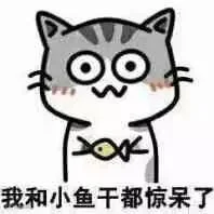 惊呆了