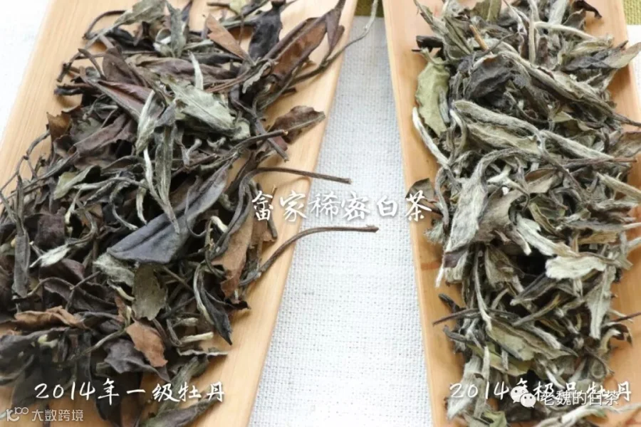 微信图片_20180914143443.jpg
