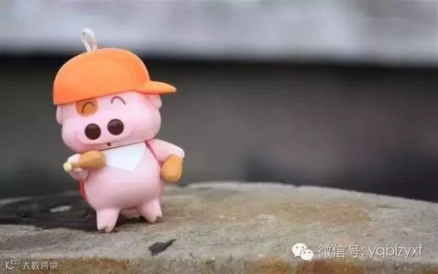 10个搞笑段子,个个醒脑,太在理了!