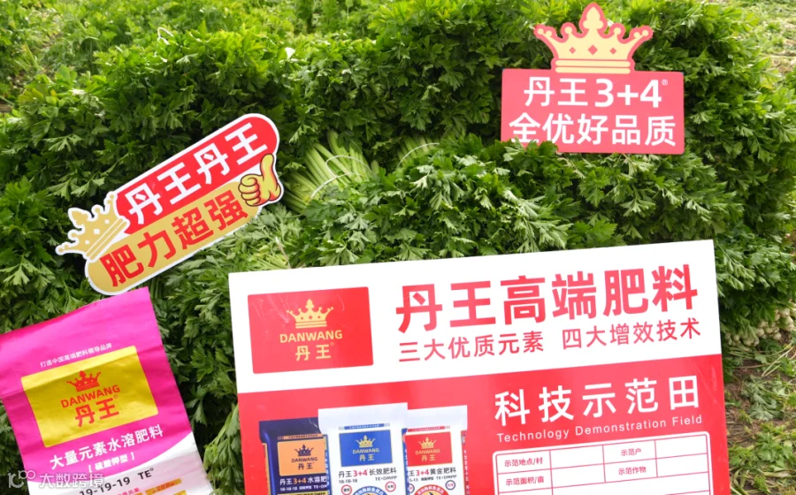 企业微信截图_17615516759266.png
