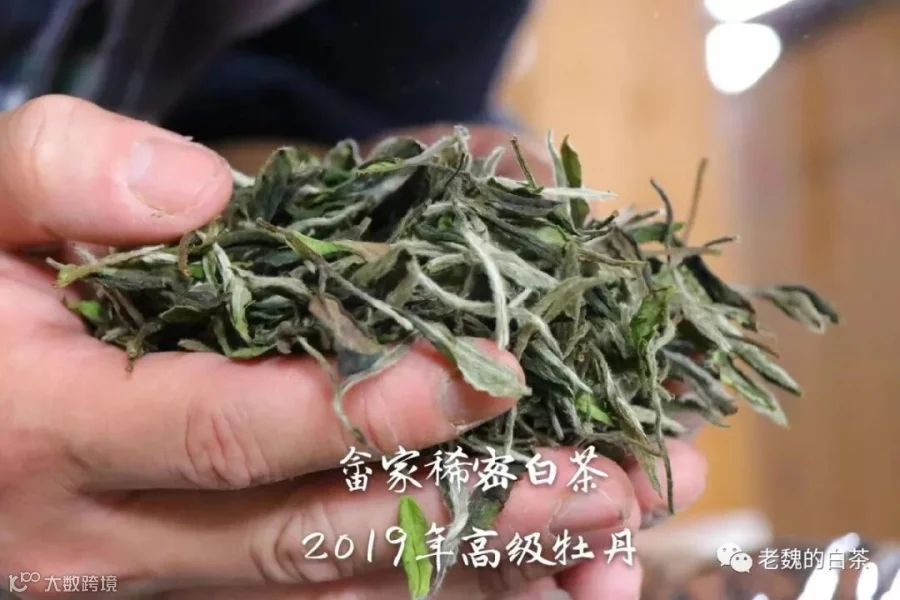 微信图片_20190910113207.jpg