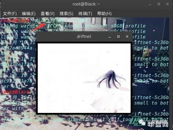 EtterCap简单入侵获取目标浏览图片
