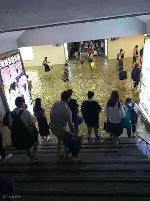 登录/注册后可看大图