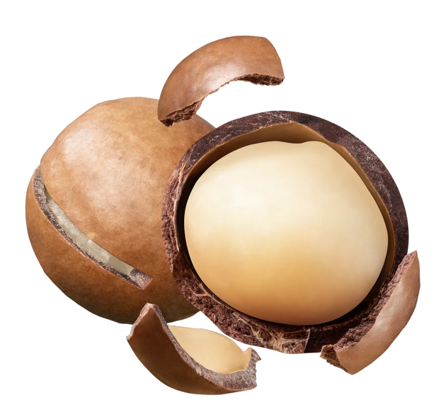 image17.png