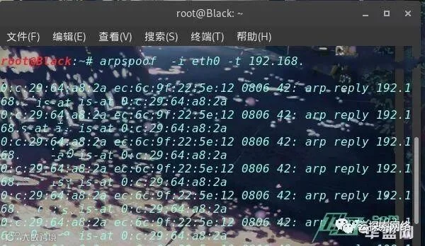 获取局域网内对方正在浏览的图片