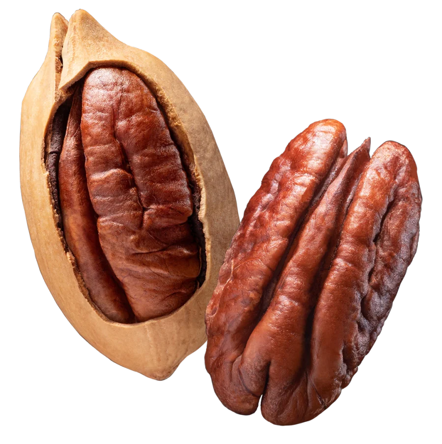 image20.png