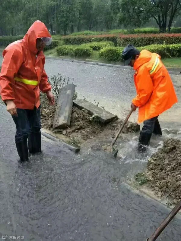 点击查看原图