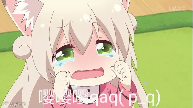 13.jpg