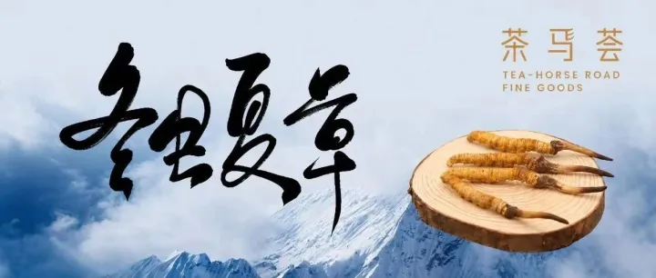 雪域<em>那曲</em>虫草，解救当代脆皮年轻人