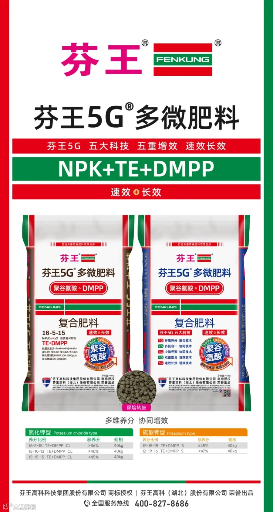 芬王基础海报 2025_画板 1.jpg