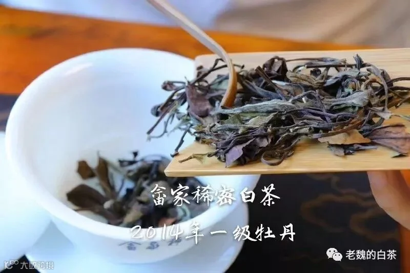 微信图片_201908171203521.jpg