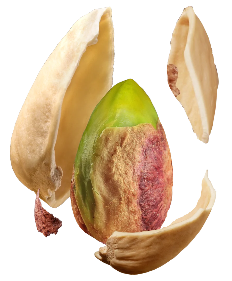 image13.png