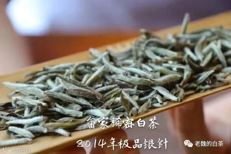 微信图片_201908161350003.jpg