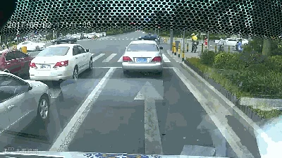 ZW_2017060_clip.gif