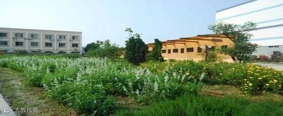 香薰植物示范基地.jpg