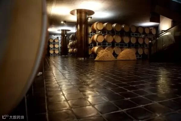 gaja-cellar-0909.jpg