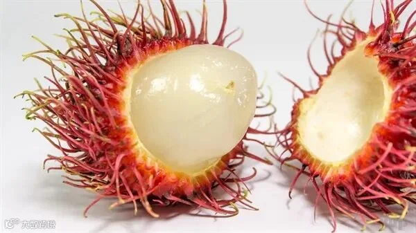 秋季养生正当时,3种食物不可少,滋养皮肤,美容养颜!