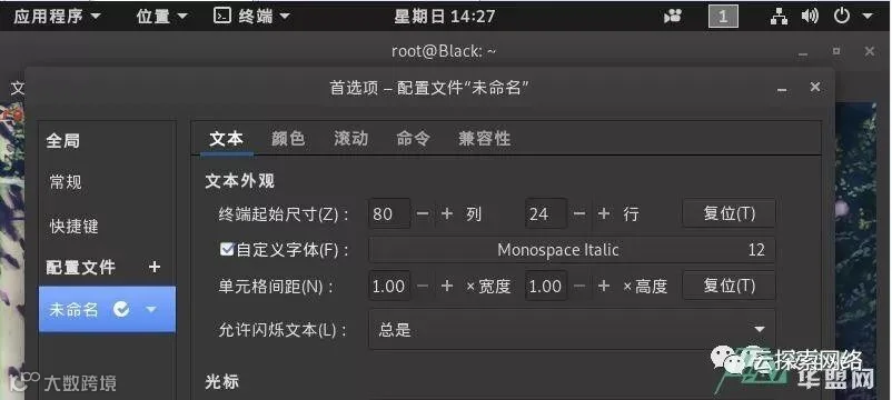 你的kali 界面炫酷吗?