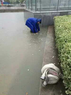 登录/注册后可看大图